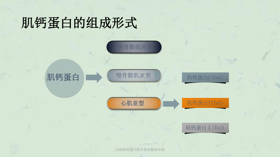 心肌肌钙蛋白的升高在临床中的课件.ppt_第2页