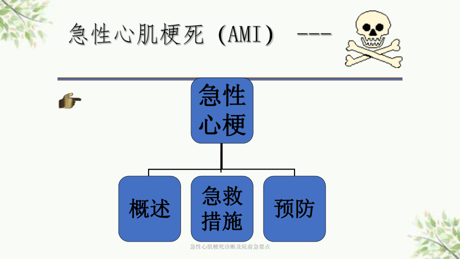 急性心肌梗死诊断及院前急要点课件.ppt_第2页