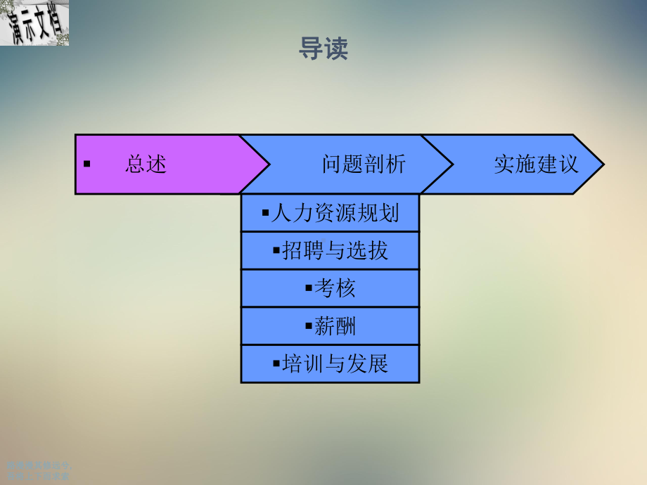 某企业人力资源诊断报告课件.ppt_第2页