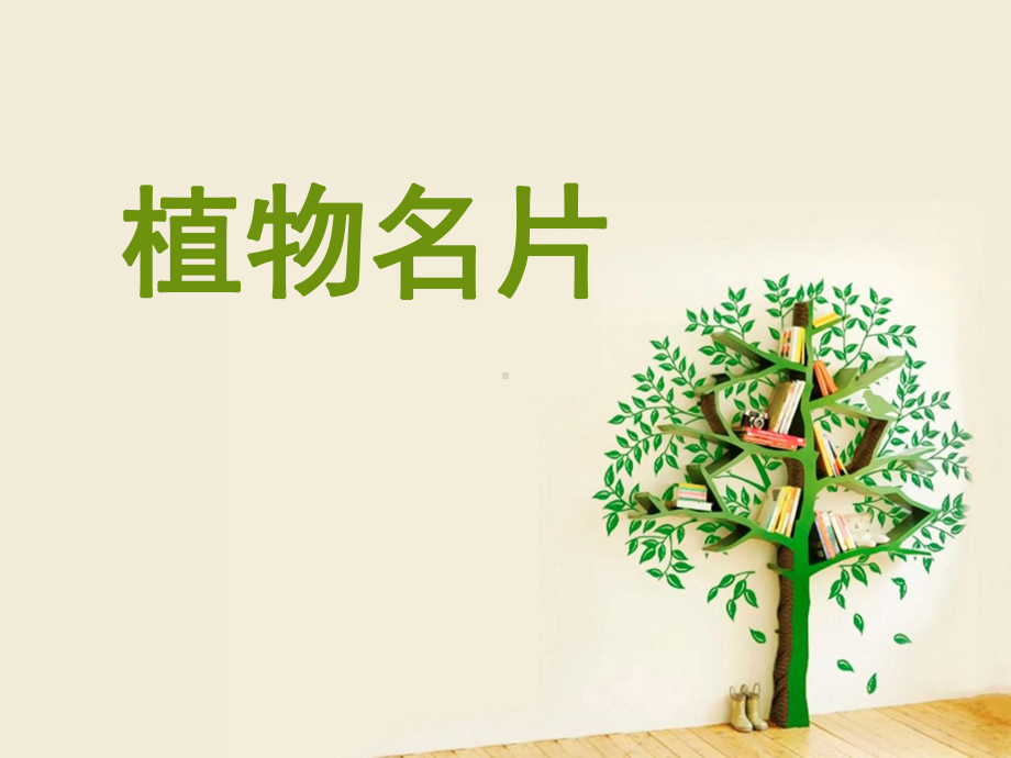 常见植物名片课件.ppt_第1页