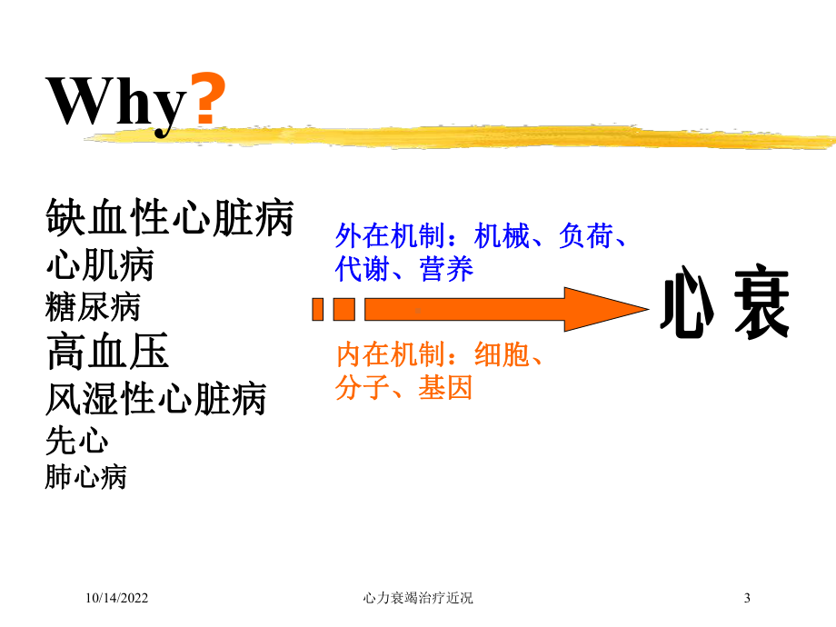 心力衰竭治疗近况培训课件.ppt_第3页