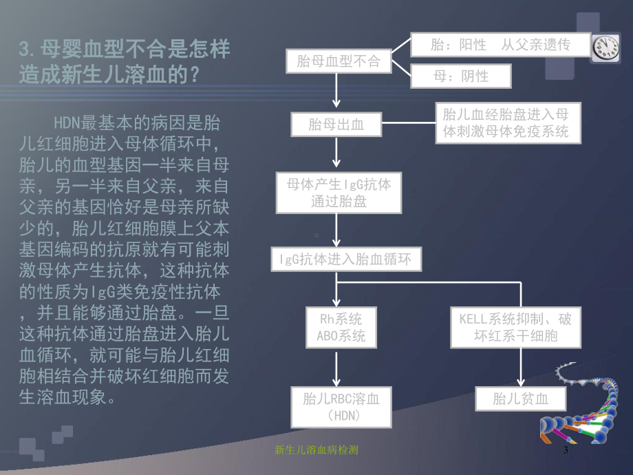 新生儿溶血病检测培训课件.ppt_第3页