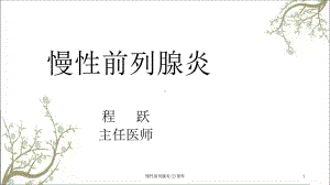 慢性前列腺炎课件2.ppt