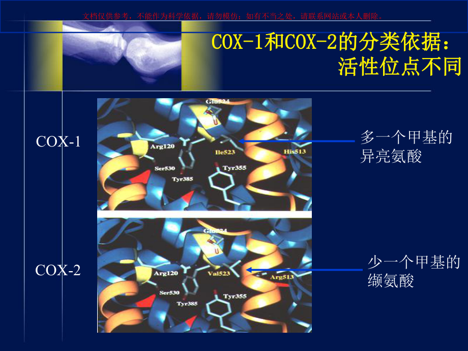 更新的环氧化酶理论以及临床实践培训课件.ppt_第3页