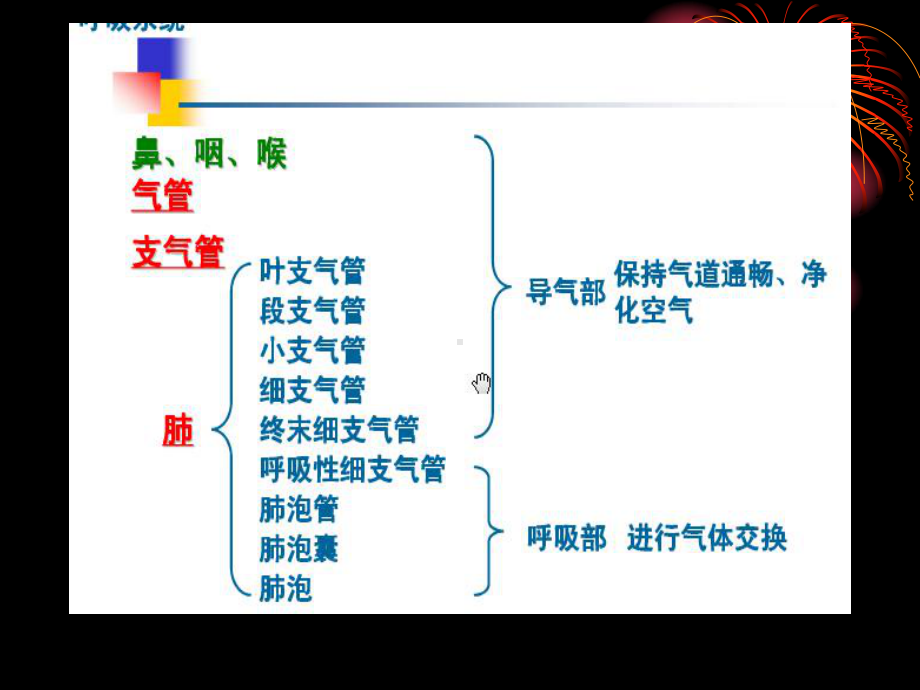 慢性支气管炎肺炎等剖析课件.pptx_第3页