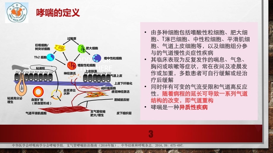 支气管哮喘的诊断课件.pptx_第3页