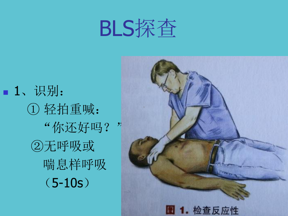 授课用-高级心血管生命支持课件.ppt_第3页