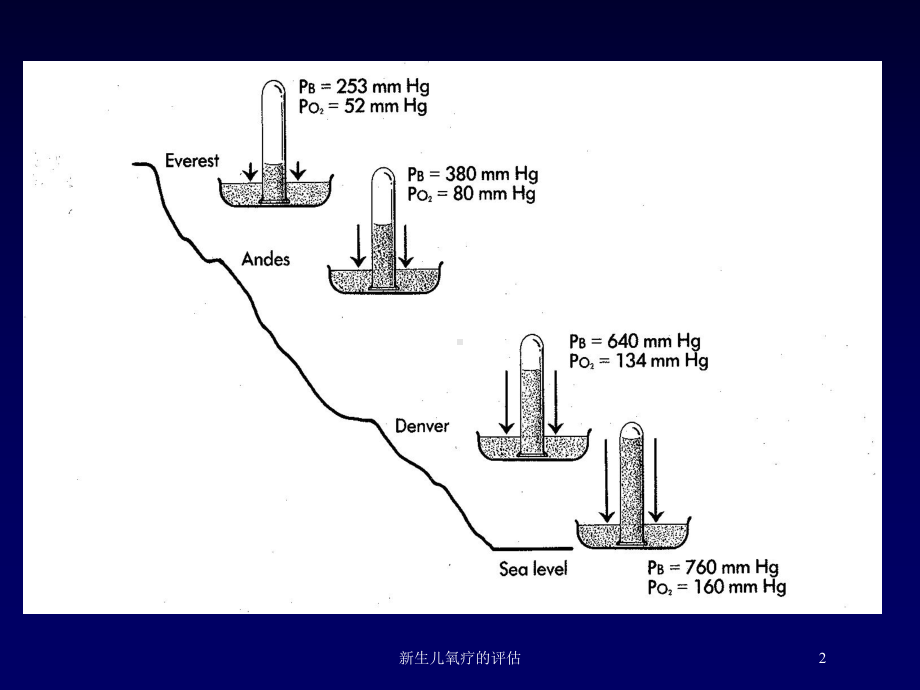 新生儿氧疗的评估培训课件.ppt_第2页