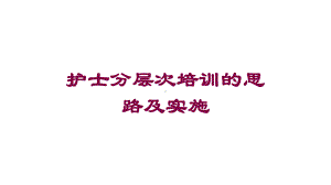 护士分层一次培训的思路及实施培训课件.ppt