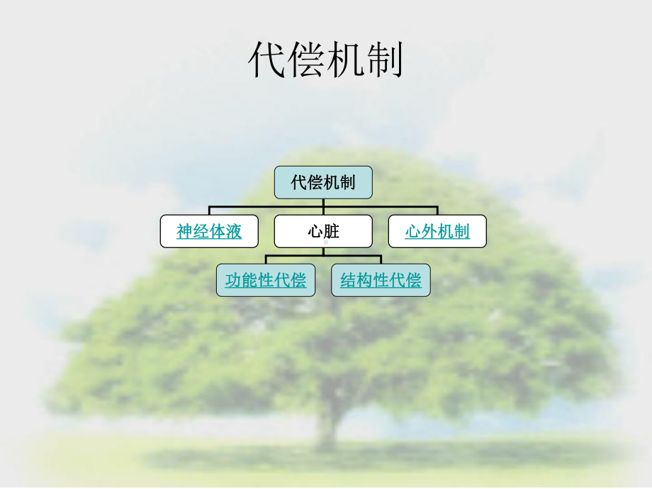 心衰病例分析一例培训课件.ppt_第3页