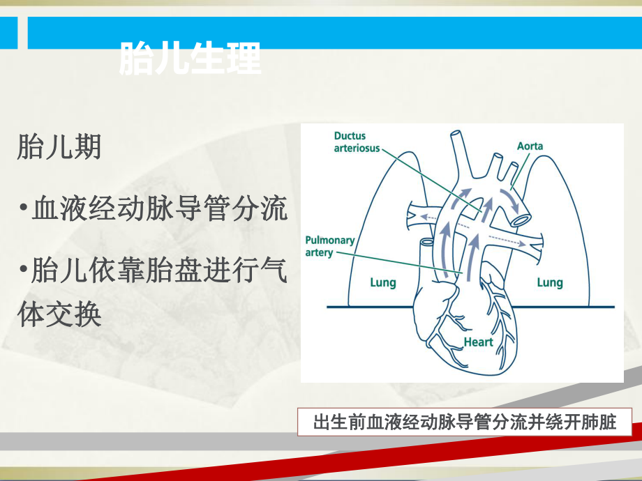 新生儿心肺复苏更新指南解读课件.ppt_第3页