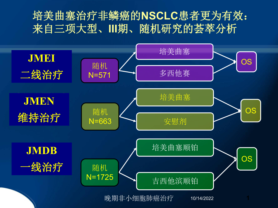 晚期非小细胞肺癌治疗培训课件.ppt_第1页