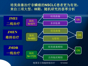 晚期非小细胞肺癌治疗培训课件.ppt