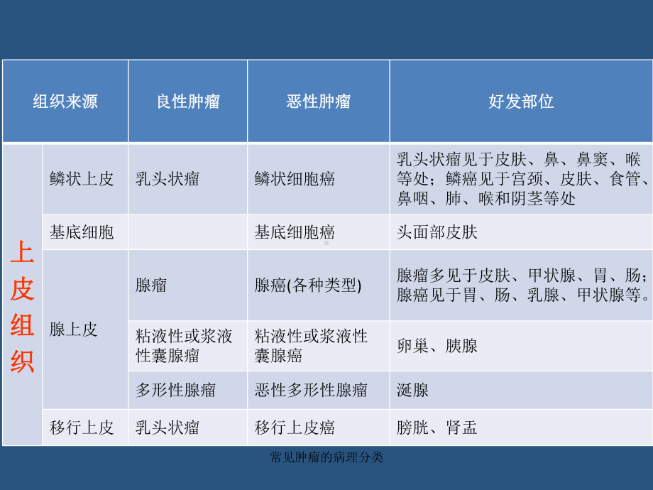 常见肿瘤的病理分类课件.ppt_第3页