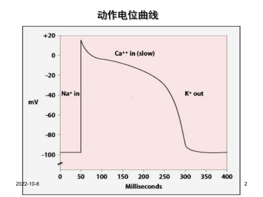 常用药物影响及电解质紊乱心电图表现参考课件.ppt_第2页