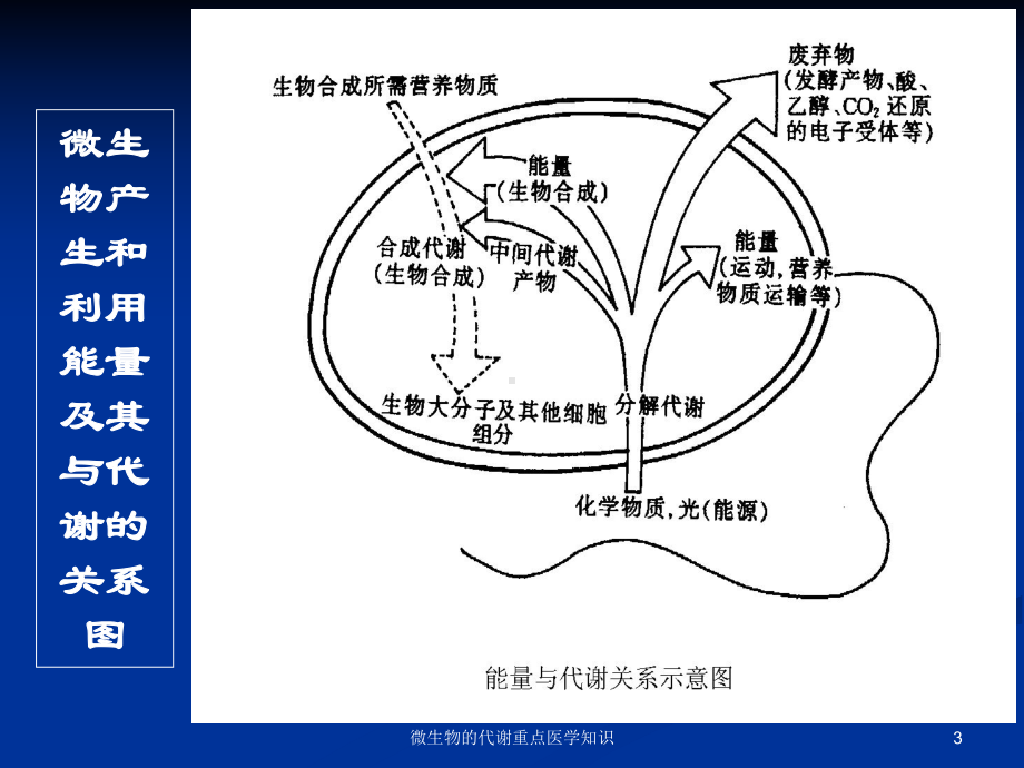 微生物的代谢重点医学知识培训课件.ppt_第3页