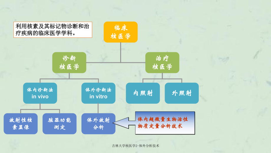 核医学2体外分析技术课件.ppt_第2页