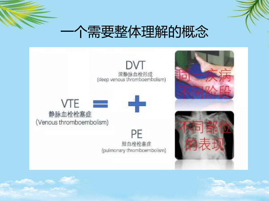 教培用血栓的预防与管理课件.pptx_第3页