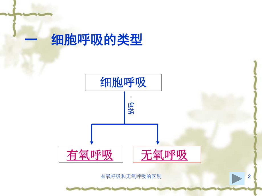 有氧呼吸和无氧呼吸的区别培训课件.ppt_第2页