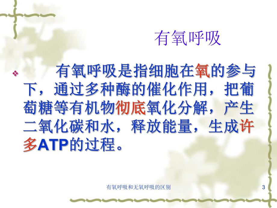 有氧呼吸和无氧呼吸的区别培训课件.ppt_第3页