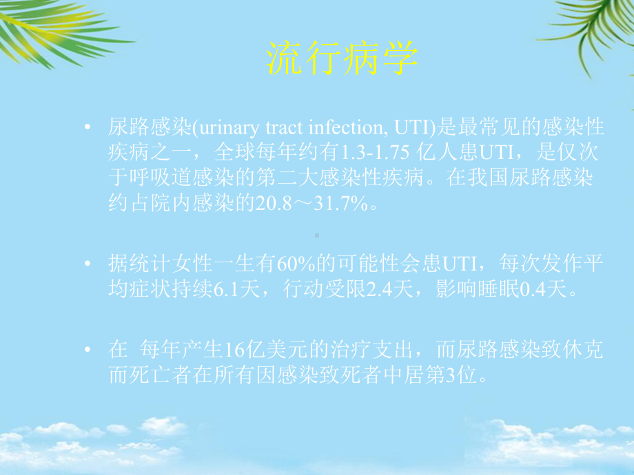 尿路感染的抗生素使用课件.pptx_第3页