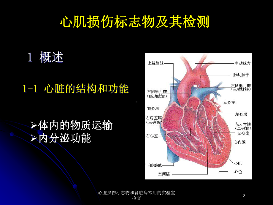 心脏损伤标志物和肾脏病常用的实验室检查培训课件.ppt_第2页