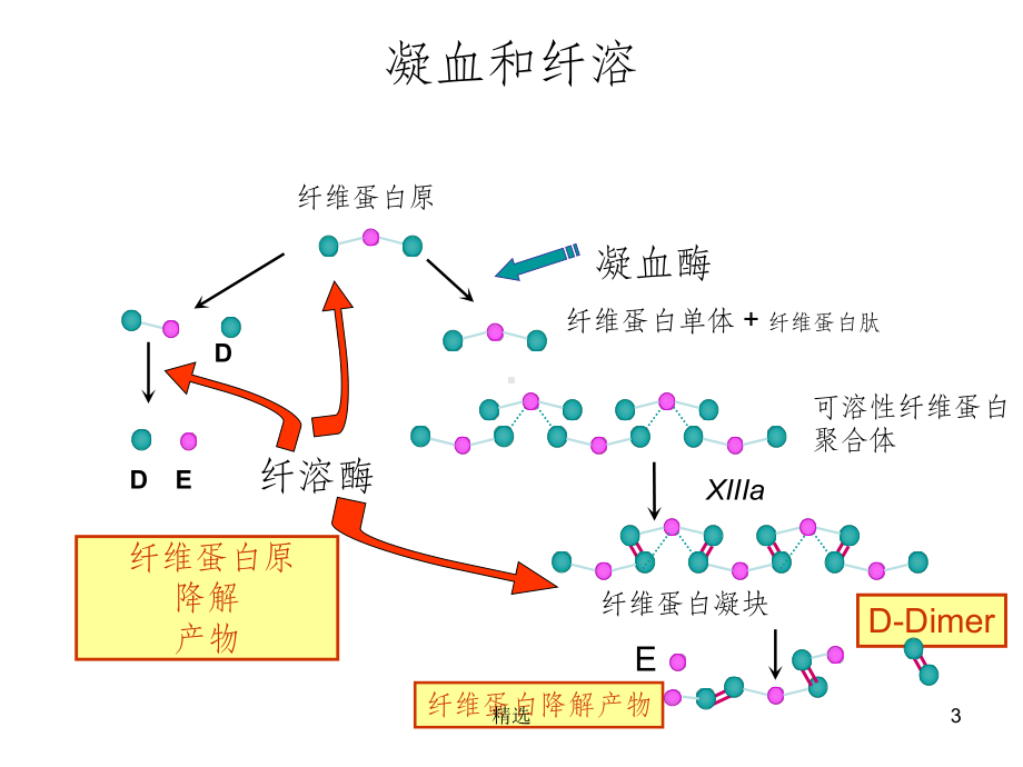 常见凝血项目检测及临床意义课件-2.ppt_第3页