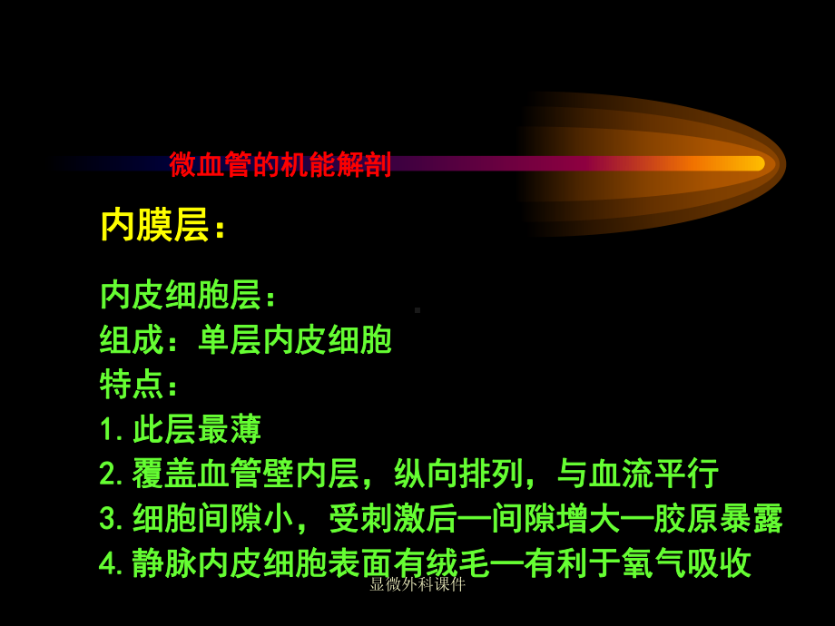 显微外科课件.ppt_第3页