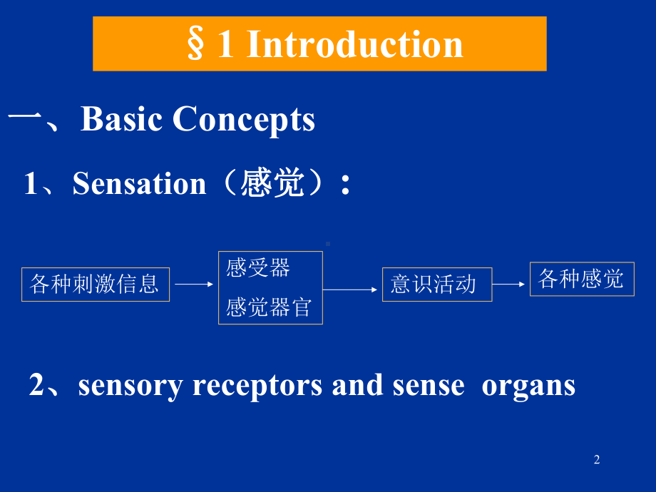 感官医学知识讲座课件.ppt_第2页