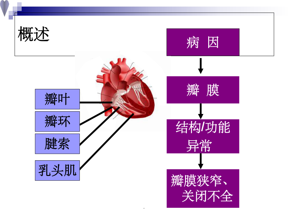 心脏瓣膜病1完整03075课件.ppt_第2页