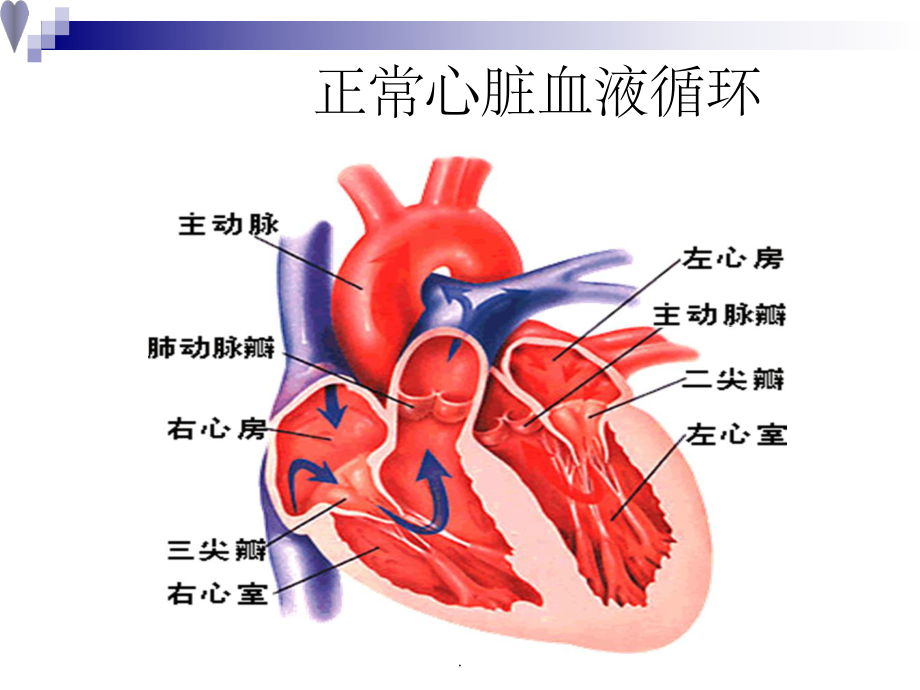 心脏瓣膜病1完整03075课件.ppt_第3页