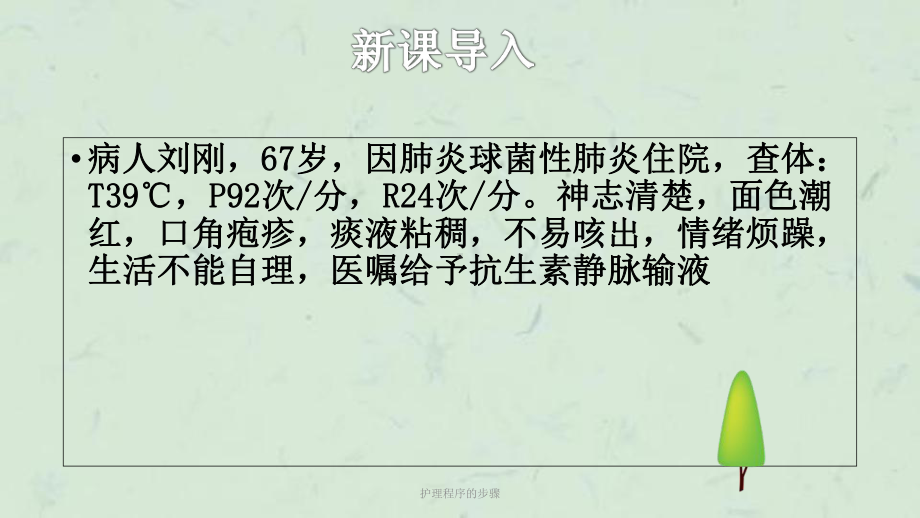 护理程序的步骤课件.ppt_第2页