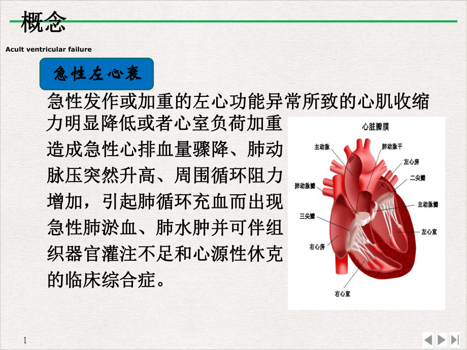 急性左心衰的护理及进展课件.ppt_第3页