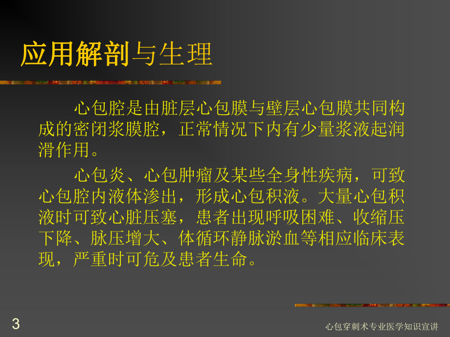 心包穿刺术专业医学知识宣讲培训课件.ppt_第3页