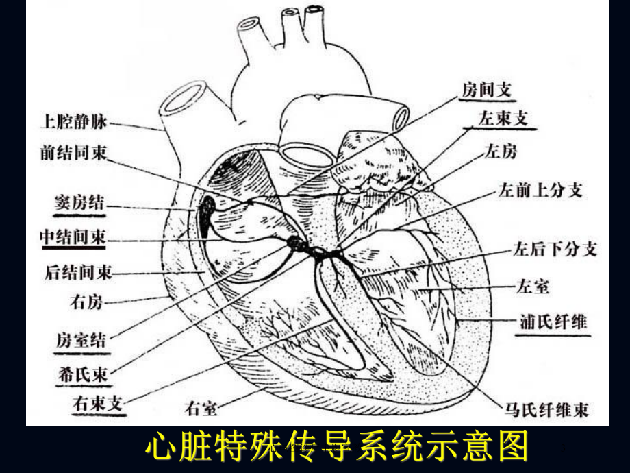 心电图诊疗主题宣教培训课件.ppt_第3页