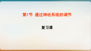 新人教版生物必修三《通过神经系统调节》教学上课课件.pptx