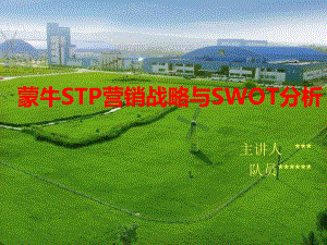 市场营销案例蒙牛swot与stp分析课件.ppt