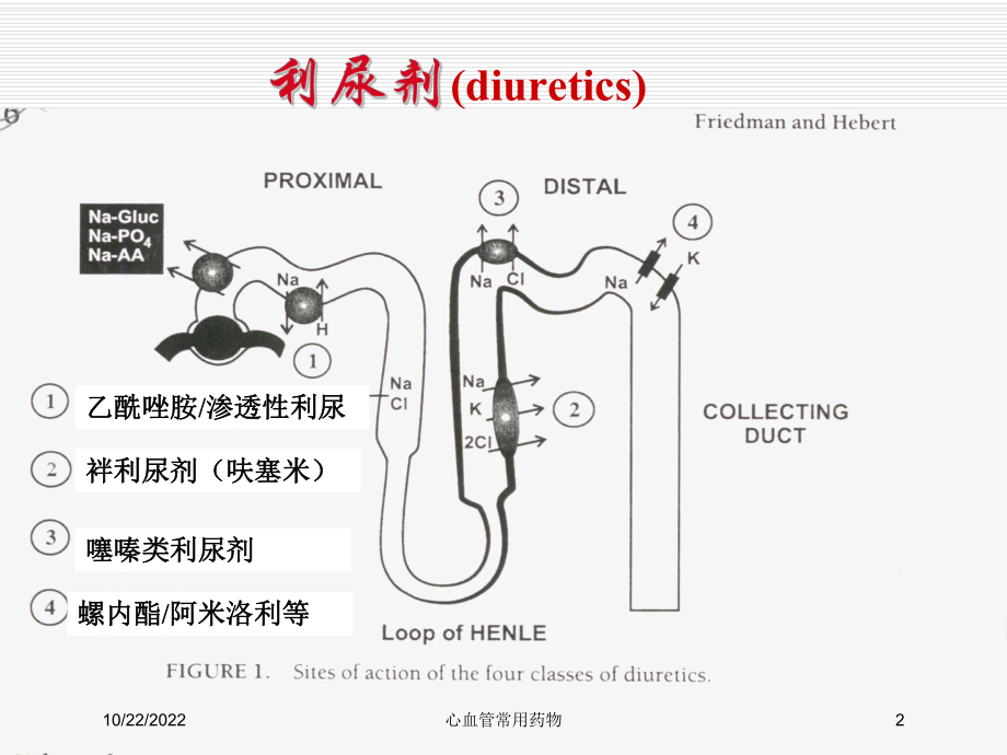 心血管常用药物培训课件.ppt_第2页