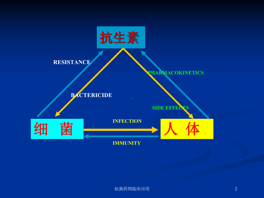 抗菌药物临床应用培训课件.ppt_第2页