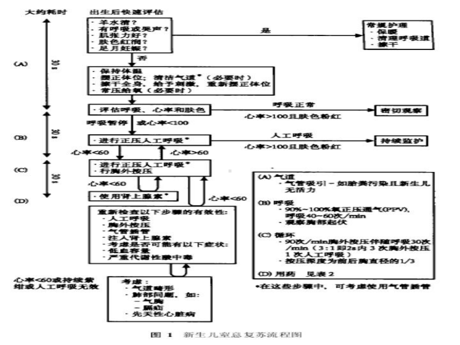 新生儿专业复苏技术-课件.ppt_第2页