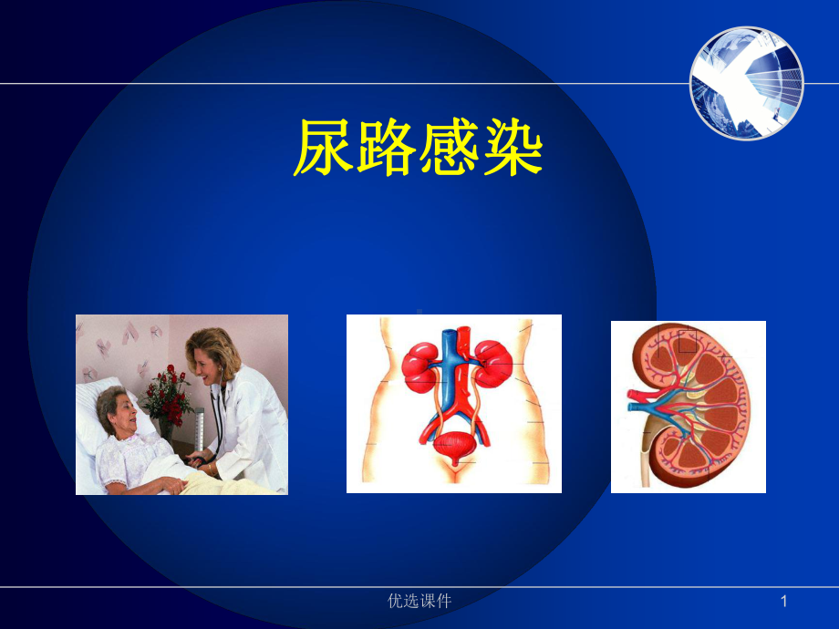 尿路感染-(第八版内科学)课件.ppt_第1页