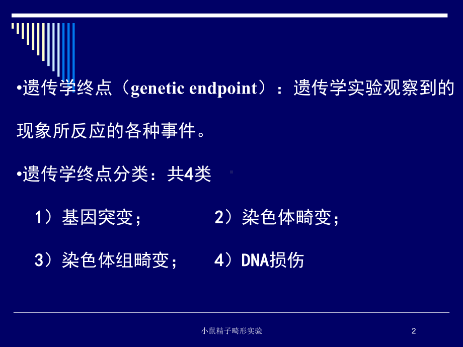 小鼠精子畸形实验培训课件.ppt_第2页