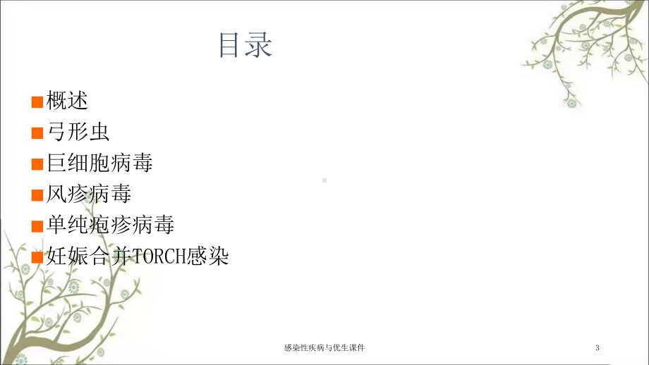 感染性疾病与优生课件.ppt_第3页