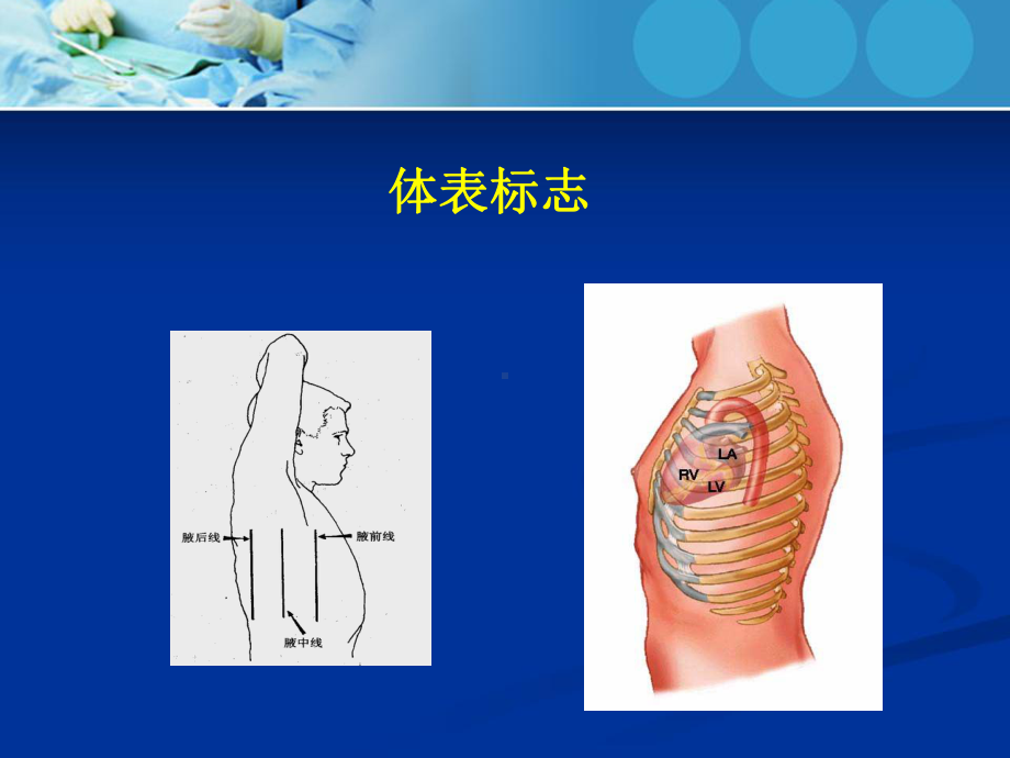 心内科体格检查培训课件.ppt_第1页