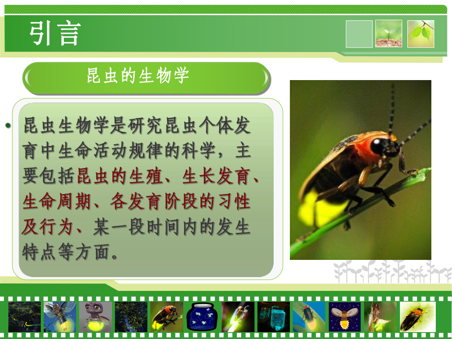 昆虫学课件第三章昆虫的生物学.ppt_第2页