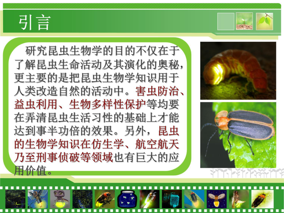 昆虫学课件第三章昆虫的生物学.ppt_第3页