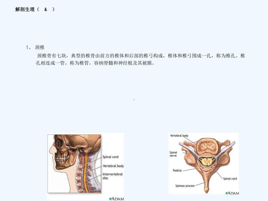 推拿治疗-颈椎病课件.ppt_第3页