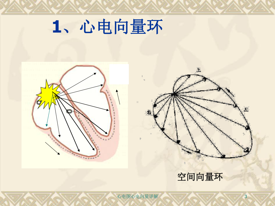 心电图心电向量详解培训课件.ppt_第3页