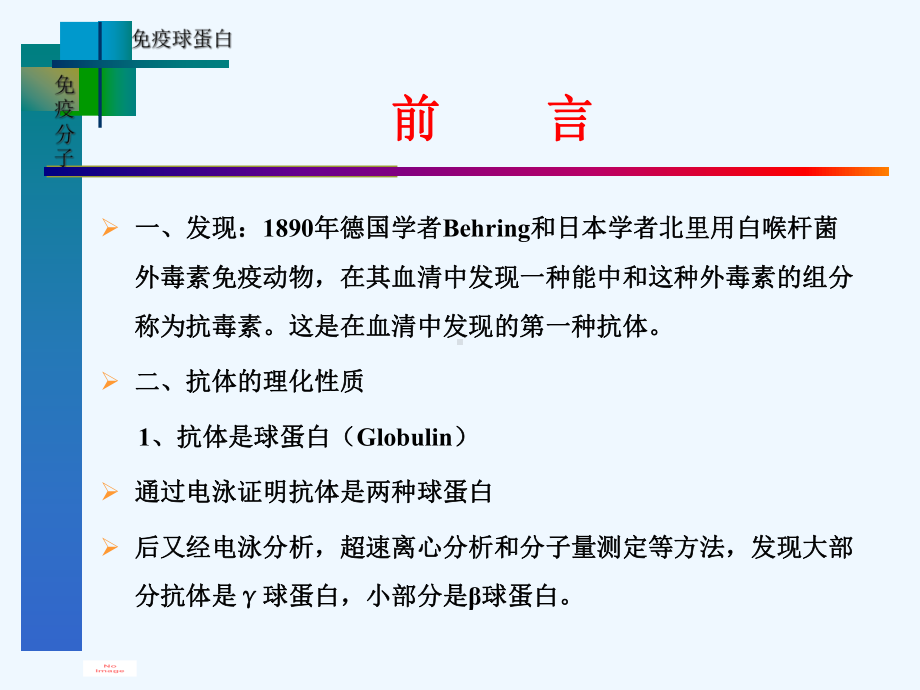 微生物学与免疫学课件免疫球蛋白.ppt_第2页