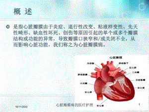 心脏瓣膜病的医疗护理课件.ppt